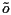 $\tilde{o}$